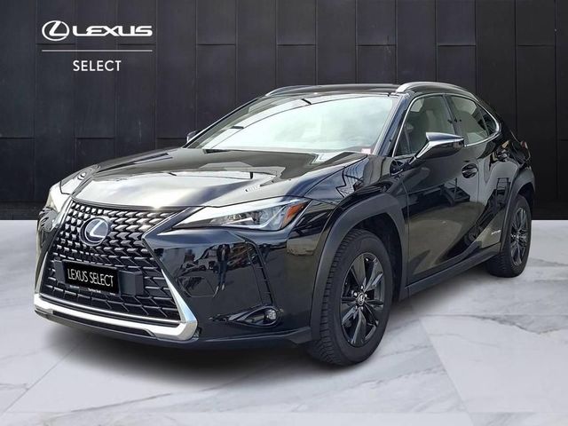 LEXUS ANDERE