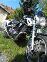 Yamaha Bulldog BT 1100 Belgarda - YAMAHA BT 1100 BULLDOG