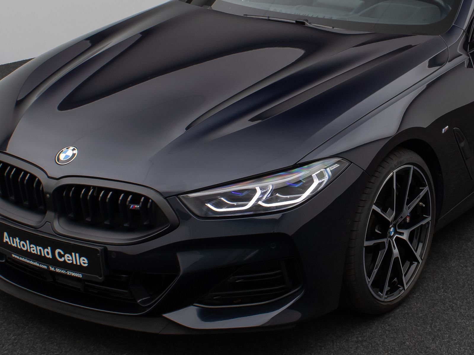 Fahrzeugabbildung BMW M850i xD GC 360° Laser SoftCl DAB Individual 20"