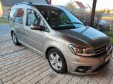 Volkswagen Caddy 1,4TSI 92kW DSG Rollstuhl geeignet  - Volkswagen Caddy: Van, 1.9