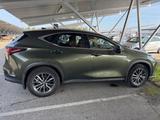 Lexus NX 350h *360° Kamera* Leder*Memory*MwSt*MY25    