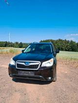 Subaru Forester - gebrauchte Subaru Forester aus dem Jahr 2014