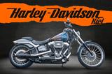 Harley-Davidson BREAKOUT FXSB Nockenwelle - JEKILL&HYDE 1. Hand - Angebote entsprechen deinen Suchkriterien
