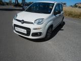 Fiat Panda 1.3 MJT S&S Lounge - Fiat Panda LOUNGE mit Diesel-Antrieb