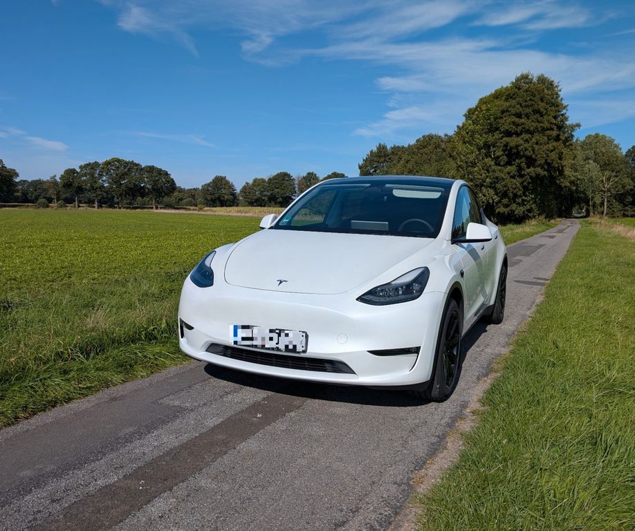 Image of Tesla Model Y