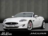 Jaguar XKR 5.0 Kompressor V8 Cabriolet #RFK/ PDC/ Bower - Jaguar in Köln