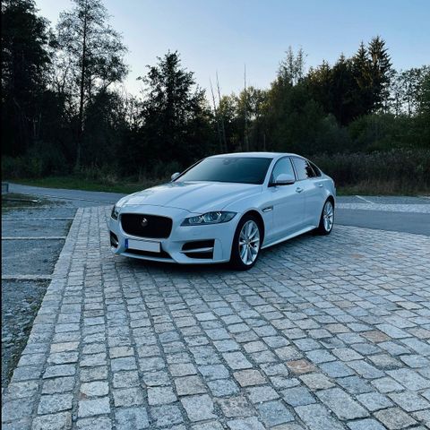 BMW Jaguar XF R-Sport / Leder / Xenon / SHZ / ...