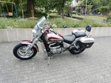 Suzuki VZ 800 Marauder  - Angebote entsprechen deinen Suchkriterien