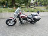 Suzuki VZ 800 Marauder  - SUZUKI MARAUDER 800