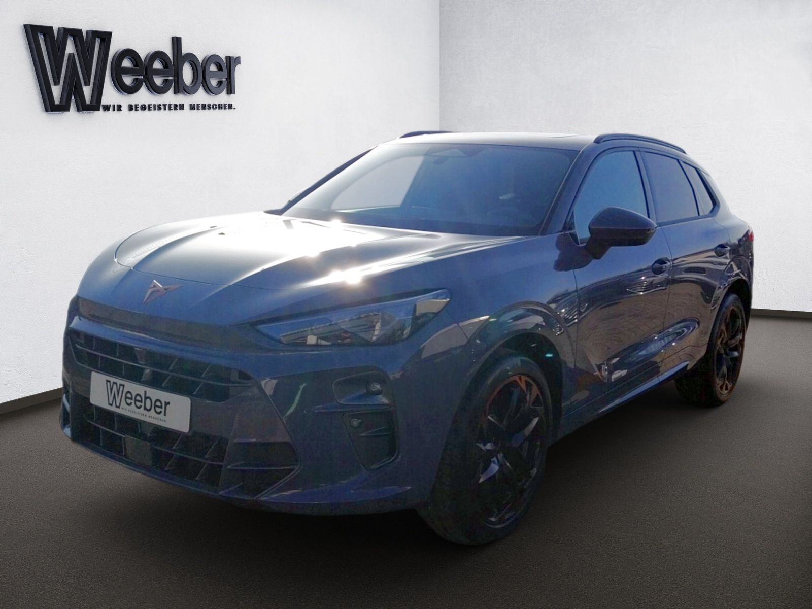 Cupra Terramar VZ 2.0 TSI 7-Gang DSG 4Drive Akebono 6- imagem 3