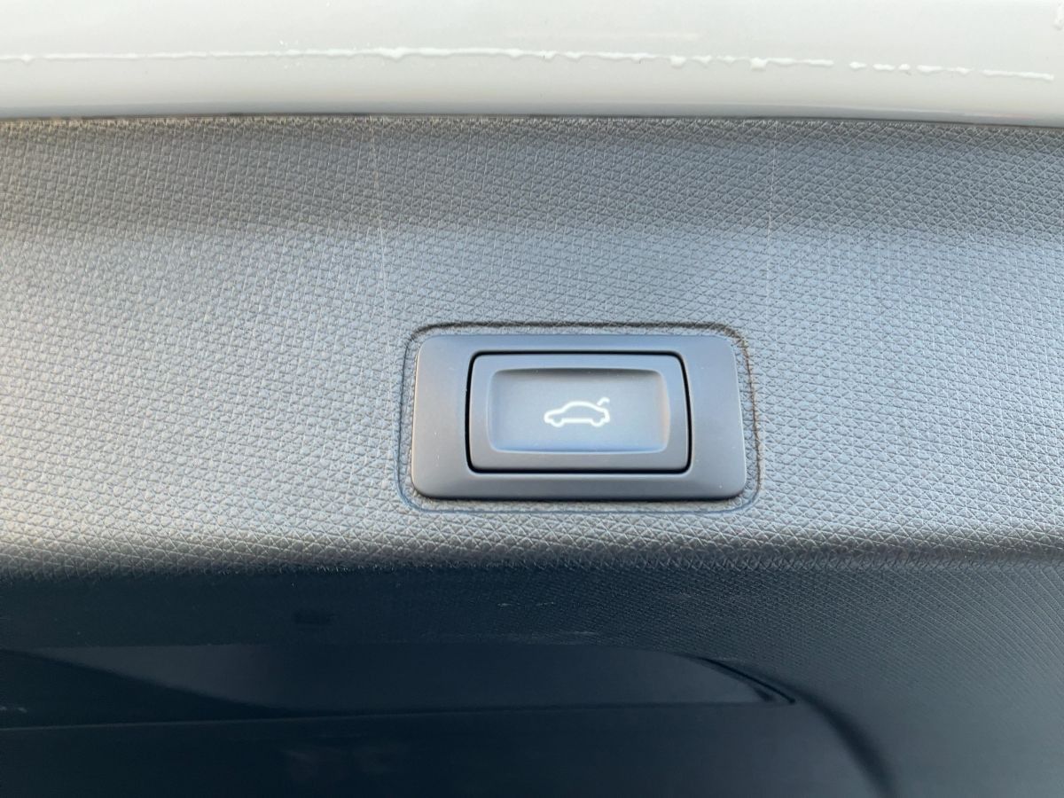 Cupra Terramar - Bild 15