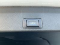 Cupra Terramar - Vorschau Bild 15