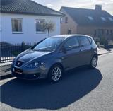 Seat Altea Copa / kein VW Golf - Seat Altea von privat