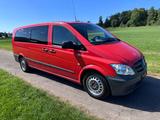 Mercedes-Benz Vito Kombi 116 CDI extralang 8-Sitzer - Mercedes-Benz: 8 Sitzer
