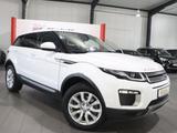 Land Rover Range Rover Evoque 2.0 D SE WHITE&BLACK PANORAMA - Land Rover Gebrauchtwagen in Hamm