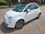 Fiat 500 Cabrio 1.3 Lounge Multijet TÜV In... - Fiat 500C mit Diesel-Antrieb