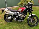 Triumph Scrambler 1200 XC - TRIUMPH SCRAMBLER