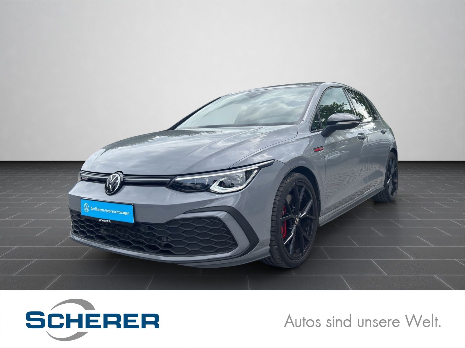Volkswagen Golf VIII GTI 2.0 TSI BLACK STYLE MATRIX RFK ACC
