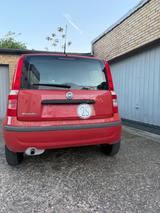 Andere Fiat Panda 25 km/h Krankenfahrstuhl  - QUAD VON 1 BIS 50 CCM