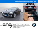 BMW 230i Steptronic Cabrio Luxury Line Sport Aut. - BMW 2er Reihe: Cabrio