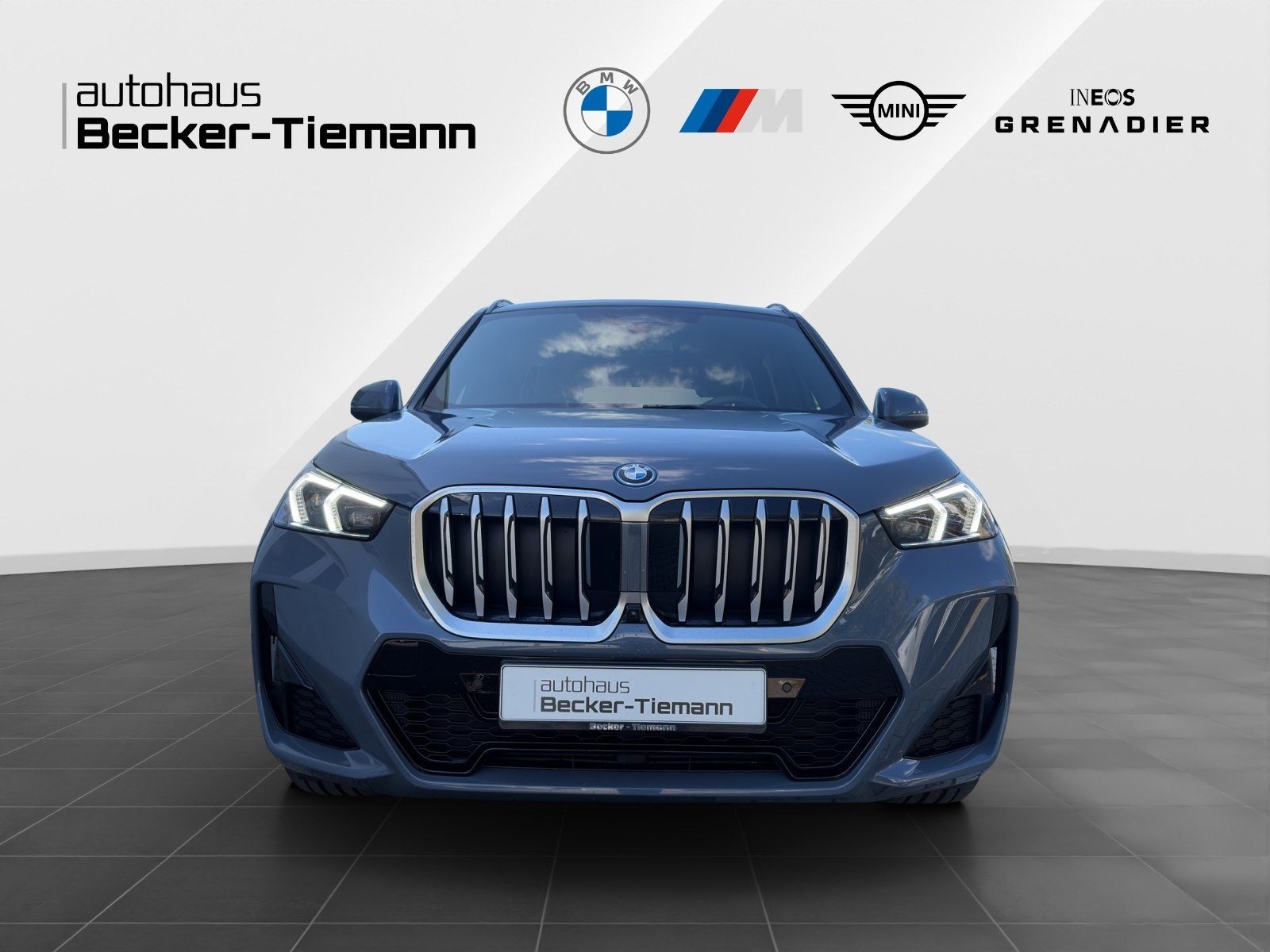 BMW X1 xDrive30e M-Sport AHK HUD DrivAssProf. ParkAs foto 3