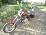 Harley-Davidson XL 1000 Sportster - HARLEY-DAVIDSON XL 1000
