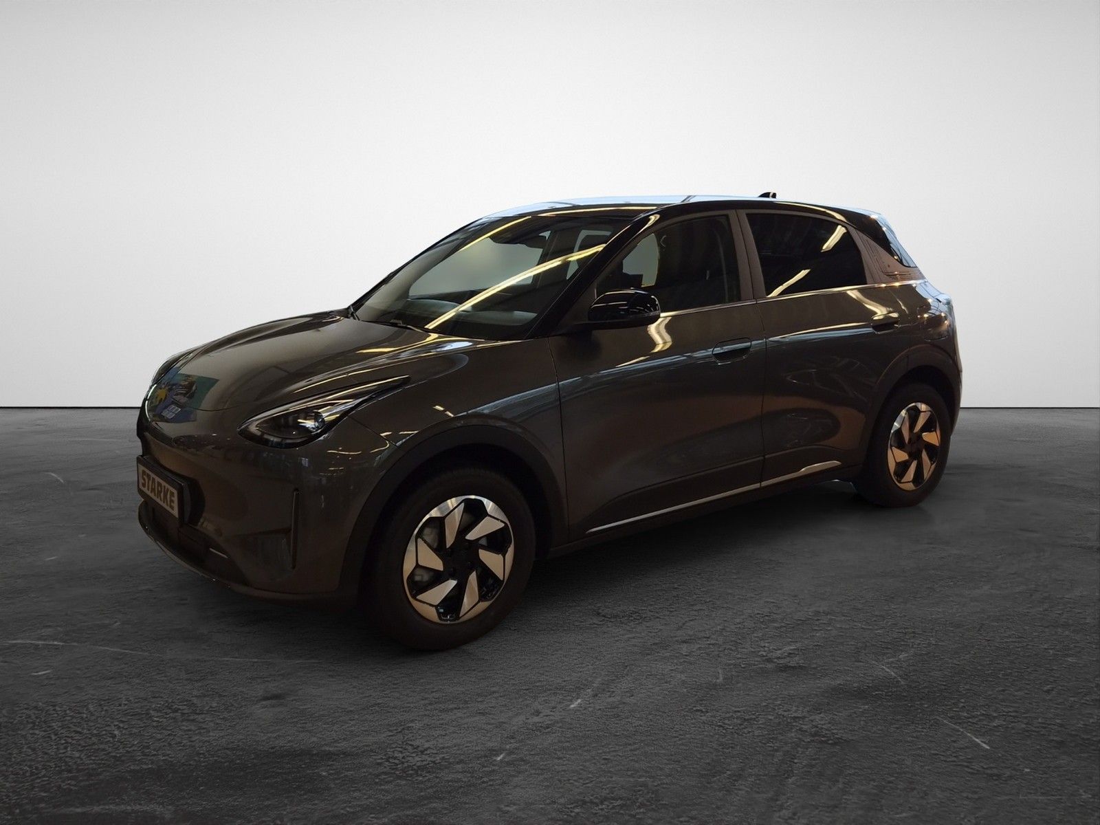 Geely E2 Ultra Standheiz LED Kamera PDC LM Tempo Klim imagem 2