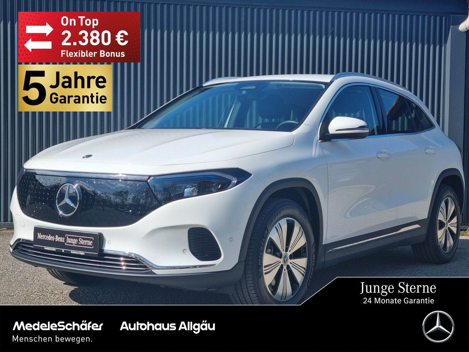 MERCEDES-BENZ EQA 250 18" Vorr.-Distronic Kamera