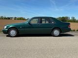 Mercedes-Benz S 280 S 280 - Mercedes-Benz S 280 Benziner Gebrauchtwagen