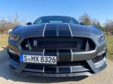 Ford Mustang Shelby GT350  - Ford Mustang: Gt350 Shelby