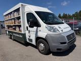 Fiat Ducato Verkaufswagen/Bäckerei Kühltheke - Fiat Ducato verkaufswagen