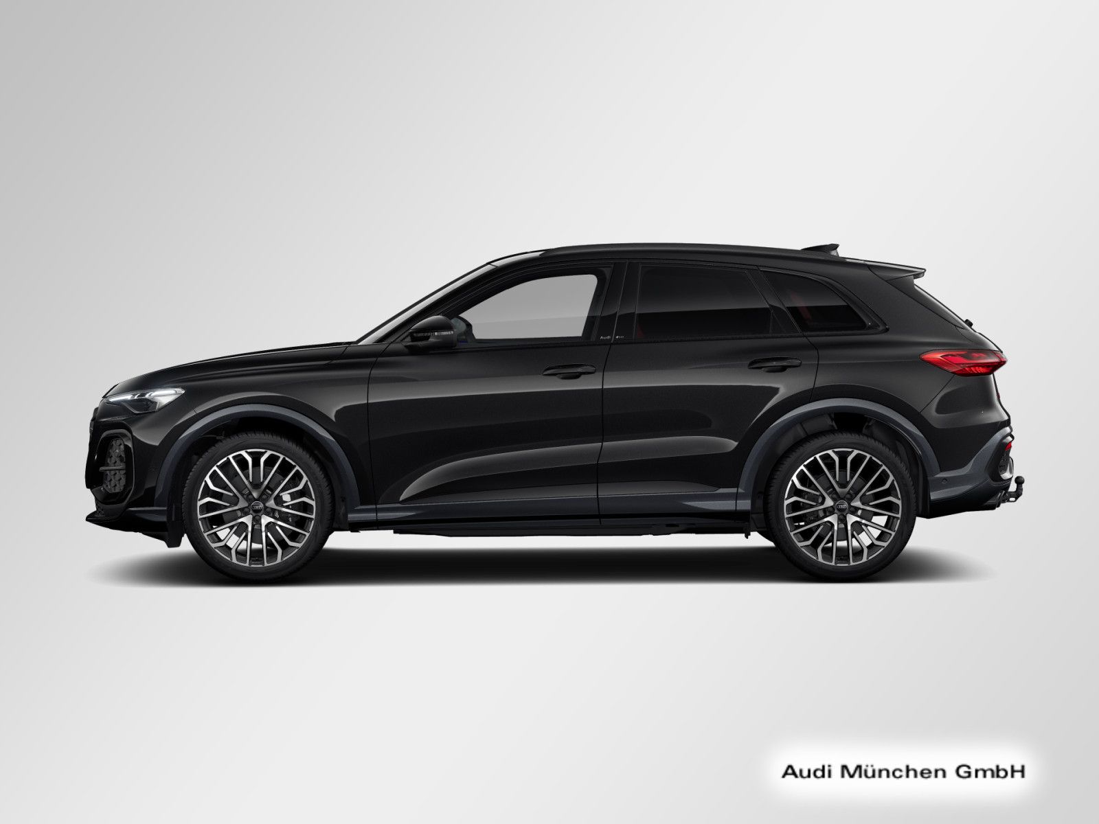 Audi SQ5 - Bild 8