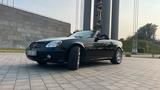 Mercedes-Benz SLK200 Carlsson  BRABUS Designo R170 204PS... - Mercedes-Benz: Slk Brabus