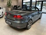 Volkswagen Eos 2.0 TDI Cup Sitzh. Xenon Sport-Paket 18" - Volkswagen Eos: 2.0