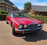Jaguar XJ6 4,2  aus 2. Serie - Jaguar XJ6: 4.2