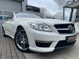 Mercedes-Benz CL 63 AMG/SAMMLERSTÜCK/KAMERA/SOFT-CLOSE/TÜV NEU - Mercedes-Benz CL 63 AMG: Weiß