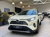 Toyota RAV 4 2.5l Hybrid, 5-Türer, Teamplayer Taxi - Toyota RAV 4: Türer