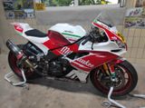 Aprilia RSV 4 RF Rennstrecke Öhlins Carbon Brembo  - APRILIA RSV4RF