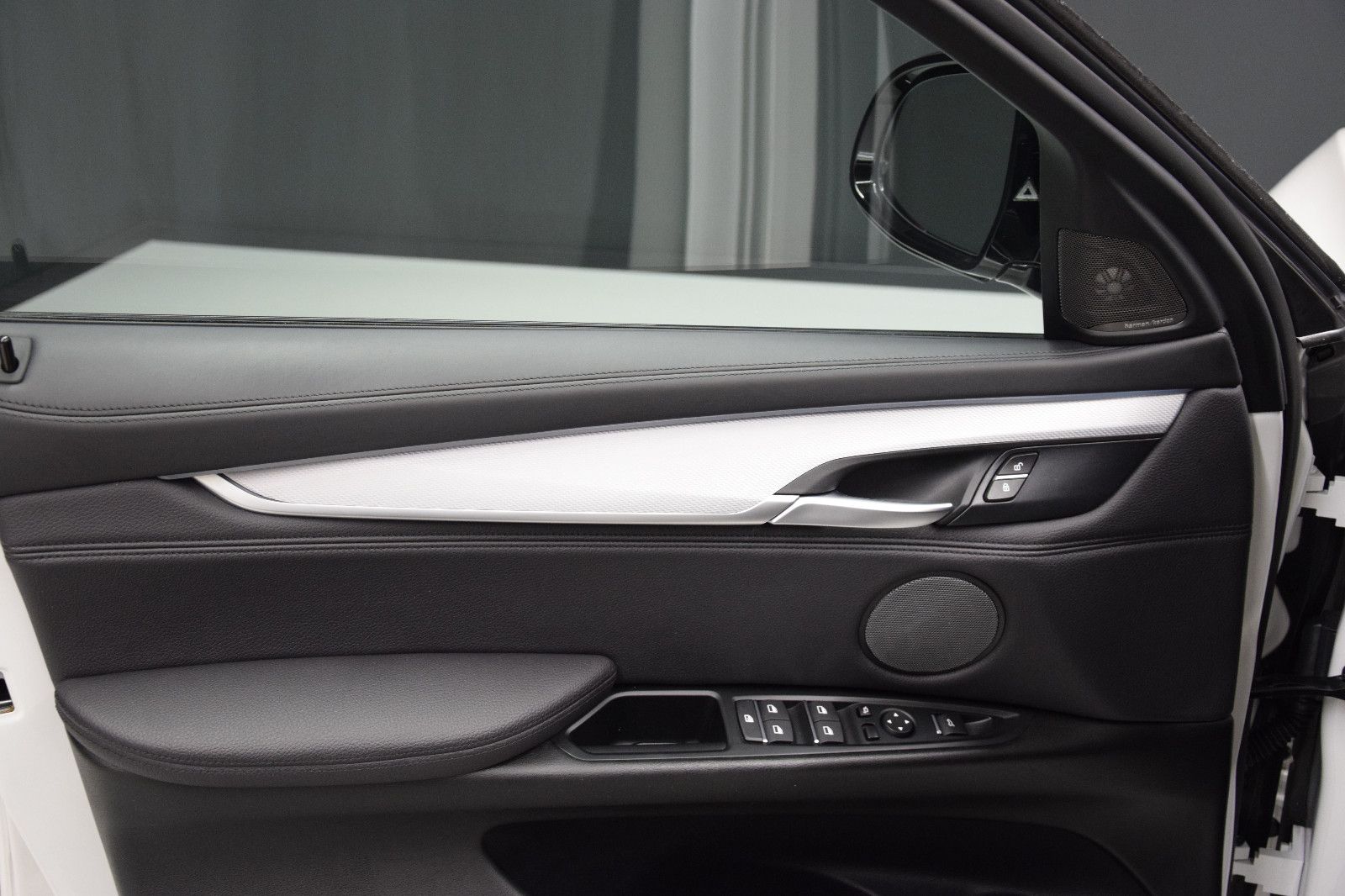 Fahrzeugabbildung BMW X6 M50 HUD TV 360 Pano Memory Sitzlüftung H&K