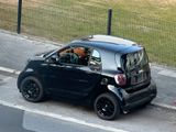 Smart Fortwo 453 71PS - Smart in Bonn