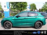 Alfa Romeo Stelvio Quadrifoglio V6 Bi-turbo TechnikP. Sport - Alfa Romeo: Sport