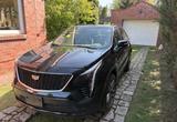 Cadillac XT4 350T AWD Premium Luxury 2.0T 237PS - Cadillac XT4 aus 2022