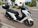 Peugeot Pulsion ALLURE 125 mit Sportauspuff  - PEUGEOT PULSION 125 ALLURE