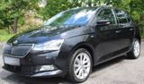 Skoda Fabia 1.0l TSI LED DAB Radio Sitzheizung