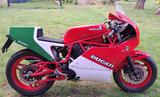 Ducati 750 F1 - DUCATI 750
