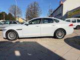 Jaguar XF Pure + Klima + 8 fach bereift - Jaguar Gebrauchtwagen