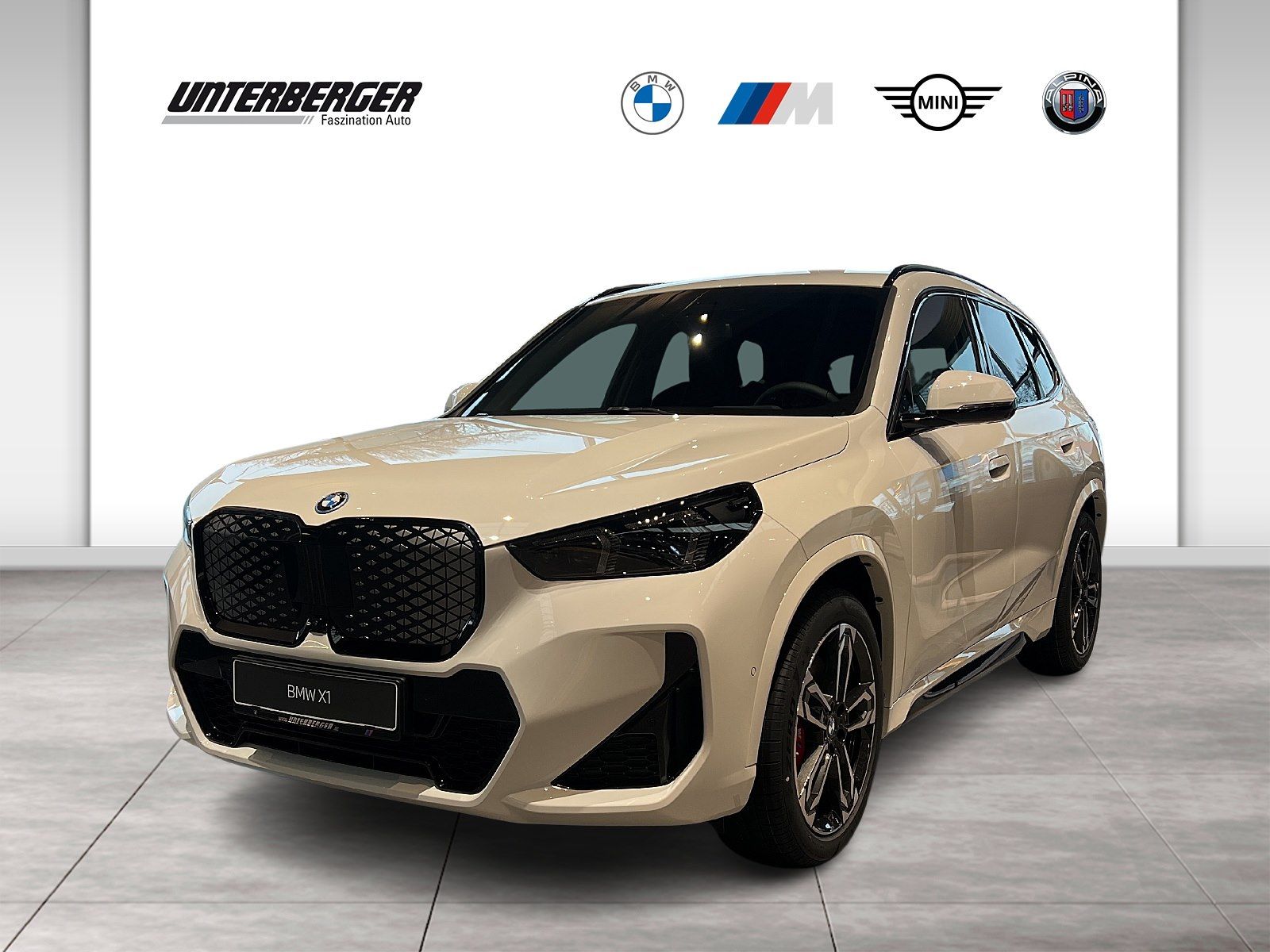 BMW iX1 xDrive30 M Sportpaket Head-Up HK HiFi DAB