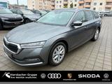 Skoda Octavia Combi 2.0 TDI DSG Style AHK STHZ SmartLi