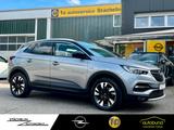 Opel Grandland X 1.2T Design Line,RKAM,KLIMAAT,AGR - Opel Grandland (X) Design-Line mit Benzin-Antrieb