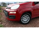 Fiat Panda MHEV 5''-DAB 5-Sitzer PDC DigCo LaneA Temp - Fiat Panda: La